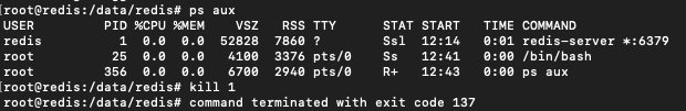 redis_kill.png