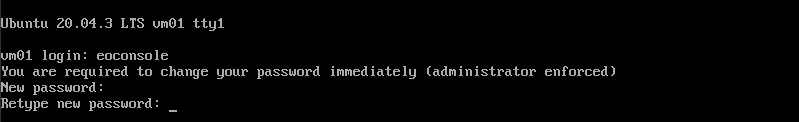 newvm11.png