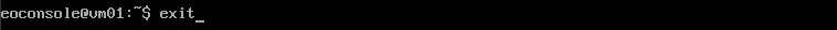 newvm13.png