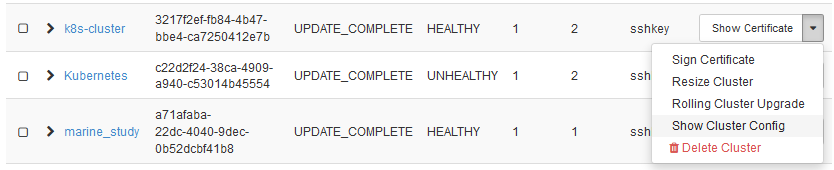download_config_horizon.png