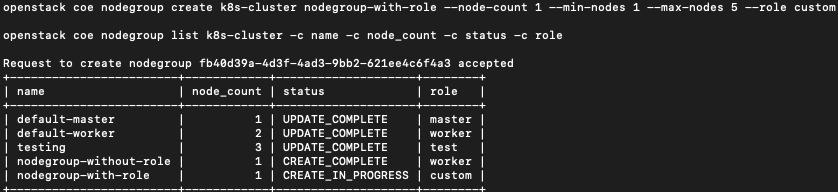 nodegroup_with_added_role.png