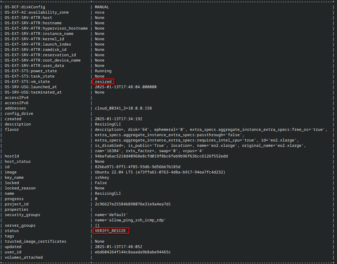 resize-vm-horizon-cli-4.png